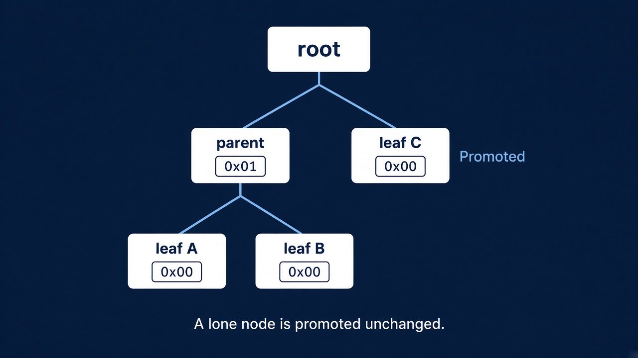 A three-leaf tree. Leaf A and leaf B, each tagged 0x00, sit under a parent tagged 0x01. Leaf C, tagged 0x00 and marked Promoted, sits beside that parent under the root. Caption: A lone node is promoted unchanged.