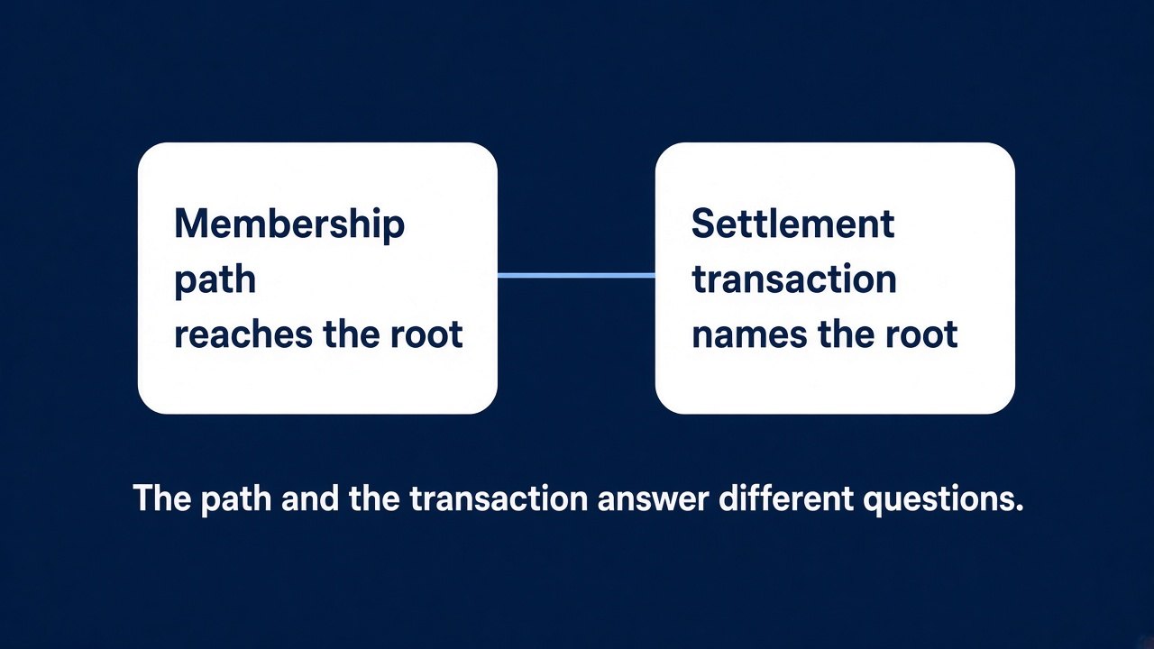 Two white cards. The left is labeled Membership and shows a path reaching a root. The right is labeled Settlement and shows a transaction naming that same root. Caption: The path and the transaction answer different questions.