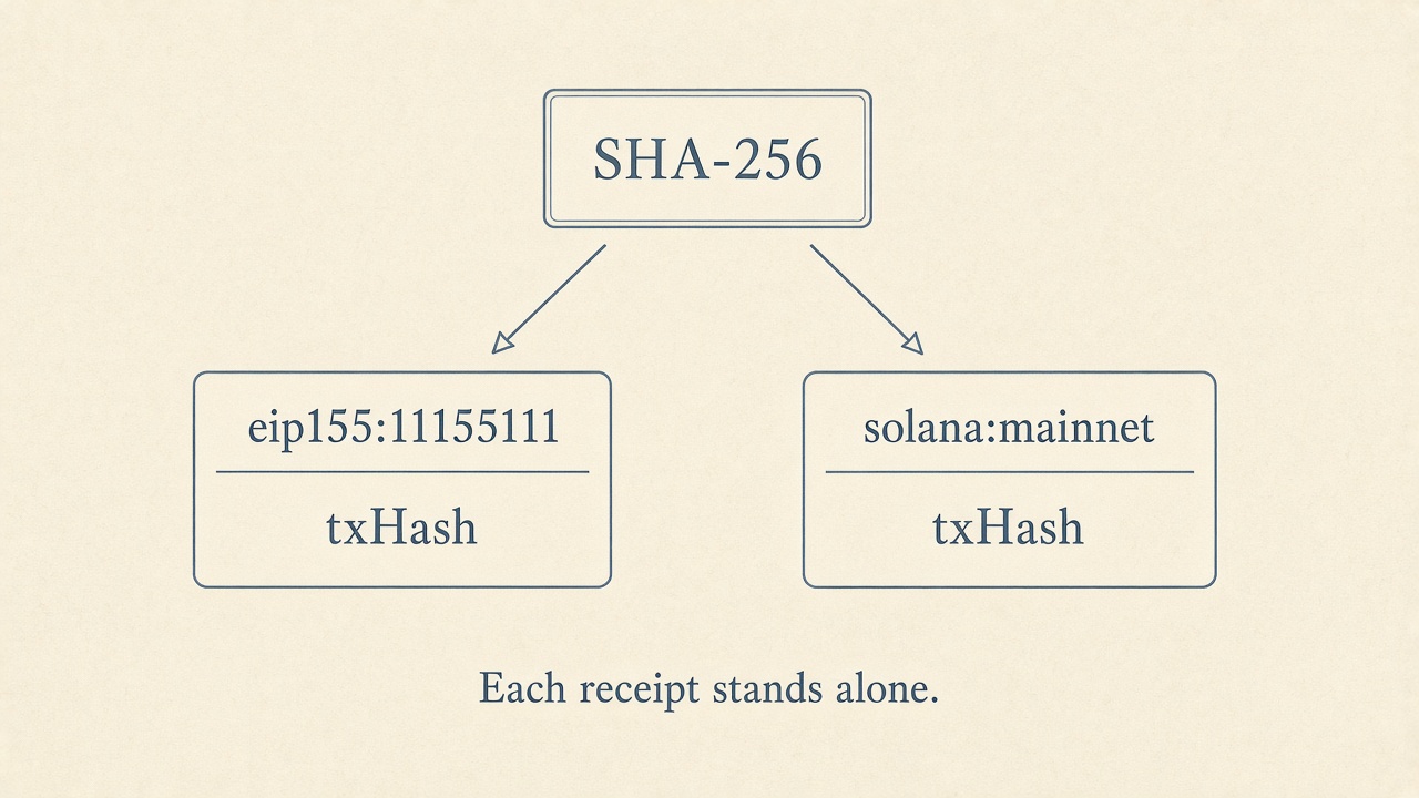 A SHA-256 digest with separate arrows to two settlement receipts, eip155:11155111 and solana:mainnet, and no link between the receipts. Caption: Each receipt stands alone.